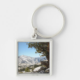 Llavero Árbol viejo en el parque nacional de Yosemite
