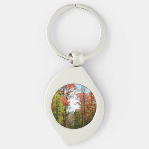 Llavero Árboles caídos y fotografía de la naturaleza otoña