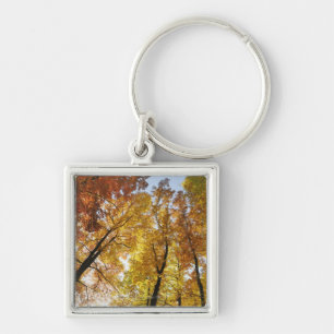 Llavero Árboles coloridos