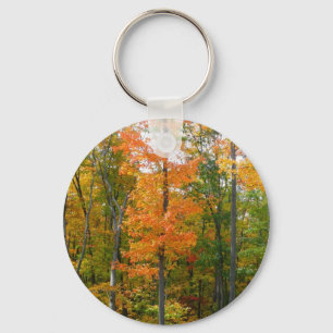 Llavero Árboles de Arce de Otoño Fotografía de la Naturale