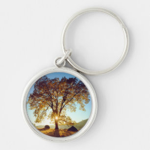 Llavero Árboles de roble negro  Bosque Nacional Cleveland,