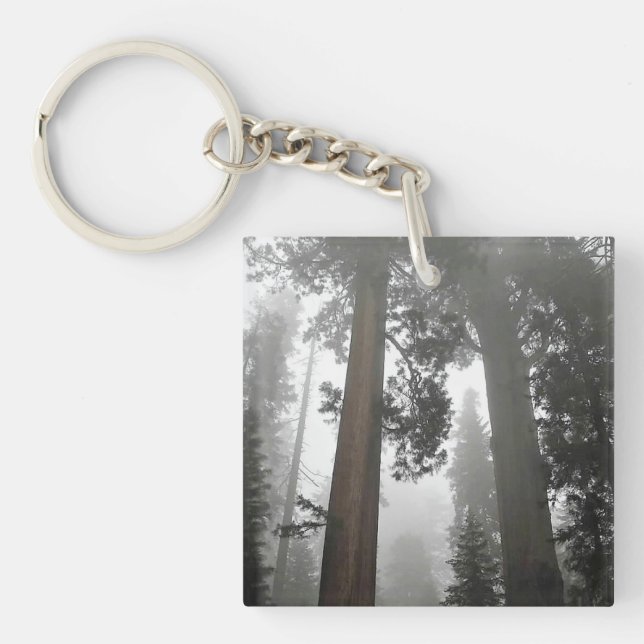 Llavero Árboles de secuoyas gigantes en niebla, CA (Frente)