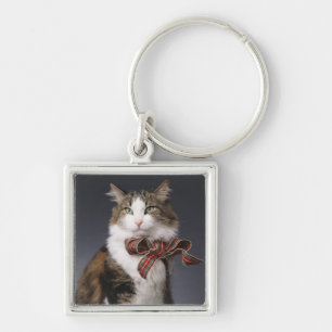 Llavero Arco de la tela escocesa del gato de Tabby que
