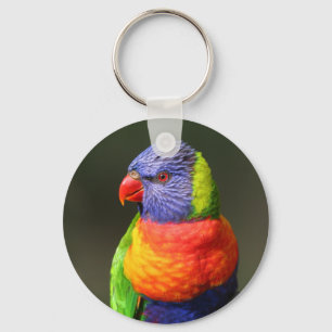 Llavero Arco iris Lorikeet