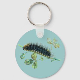 Llavero Arctia caja caterpillar