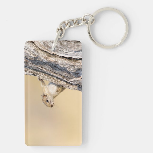 Llavero Ardilla de árbol (Atrás)
