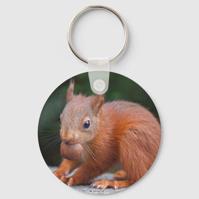 Llavero Ardilla de bebé con anillo de llaves de la tuerca (Anverso)