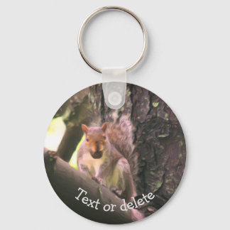 Llavero Ardilla En El Arte Animal De Árbol Personalizada