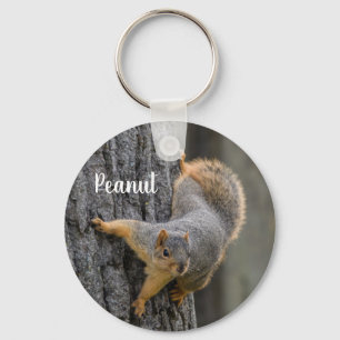 Llavero ardilla Fox personalizada en un árbol