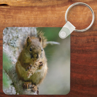 Llavero Ardilla Marrón, Retrato de Naturaleza Pacífica