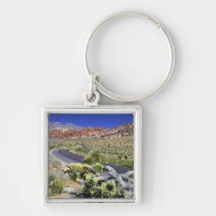 Llavero Área Nacional de Conservación del Cañón Red Rock,