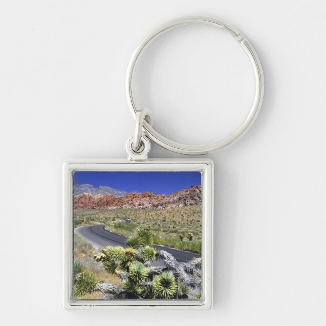 Llavero Área Nacional de Conservación del Cañón Red Rock,  (Frente)