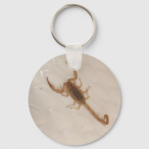 Llavero Arizona Bark Scorpion