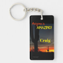 "¡Arizona es asombrosa!" Cactus del desierto de So