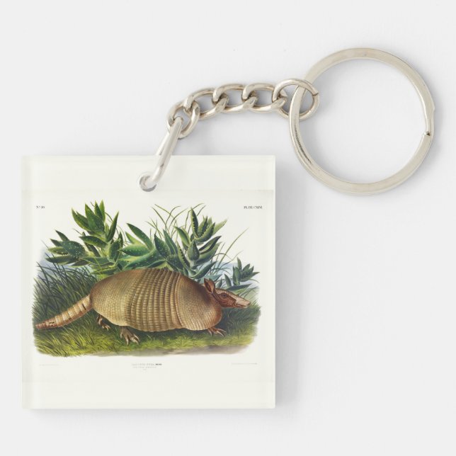 Llavero Armadillo de nariz larga y nueve bandas de Audubon (Atrás)
