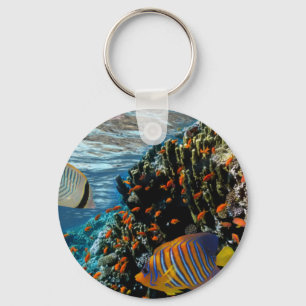 Llavero Arrecife de coral con coral de fuego y peces exóti