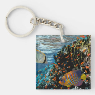 Llavero Arrecife de coral con coral de fuego y peces exóti