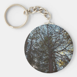 Llavero Arriba por las ramas