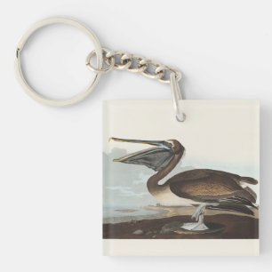 Llavero Arte de Ave Costera Vintage Audubon Pelícano Pardo