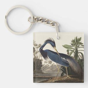 Llavero Arte de ave Louisiana Heron Audubon vintage