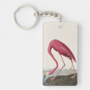 Llavero Arte de ave rosa flamenco americano Audubon vintag