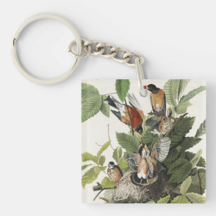 Llavero Arte de nido de pájaro Robin americano Audubon vin