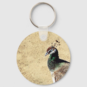 Llavero Arte de pavo real elegante y plumas