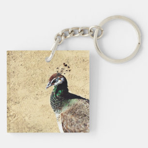 Llavero Arte de pavo real elegante y plumas