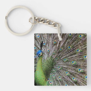 Llavero Arte de pavo real elegante y plumas