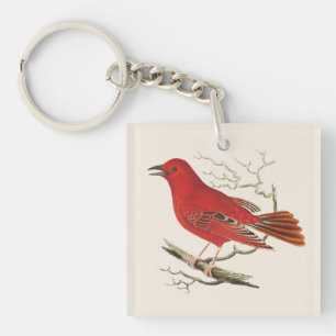 Llavero Arte decorativo de pájaro naturalista Tanager Esca