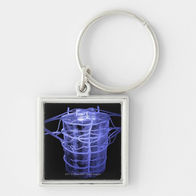 Llavero Arterias que rodean la parte de la columna espinal (Frente)