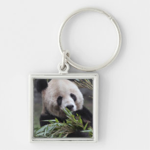 Llavero Asia, China Chongqing. Panda gigante