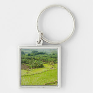 Llavero Asia, China, provincia de Yunnan, Honghe. Plátano