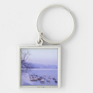 Llavero Asia, Japón, Hokkaido, Akan NP, Whopper Swans