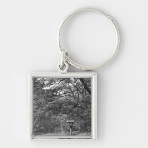 Llavero Asia, Japón, Tokio, terrenos del santuario Meiji,