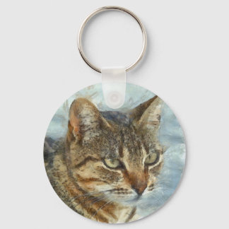 Llavero Asombroso Gato Tabby Cerrar Portra Lápiz Gráfico