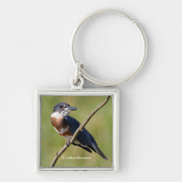 Llavero Asombroso pájaro de Kingfisher cortado