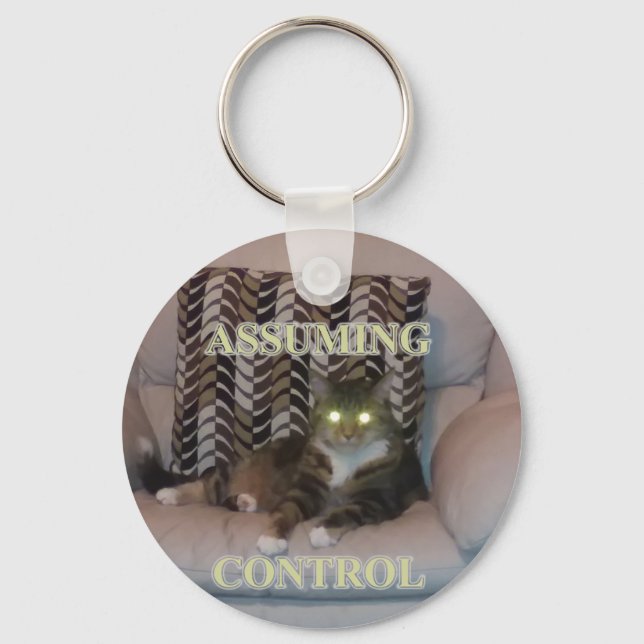 Llavero Assuming Control cat keychain (Anverso)