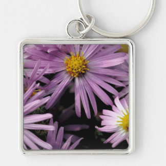 Llavero Aster