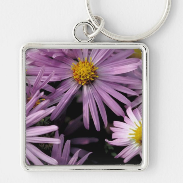 Llavero Aster (Frente)