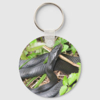 Atardecer de serpiente negro