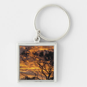 Llavero Atardecer, Parque Nacional Uluru-Kata Tjuta,