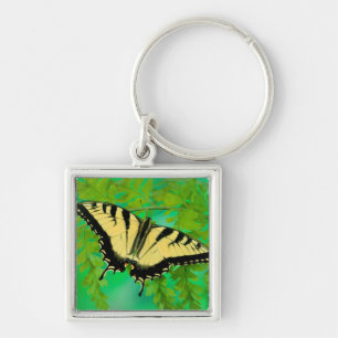 Llavero Aterrizaje de mariposa de cola baja