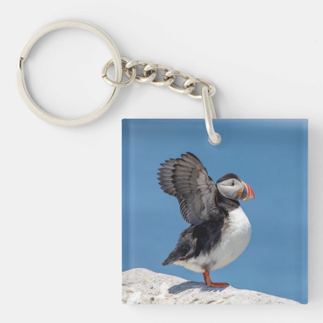 Llavero Atlantic Puffin in Machias, ME (Frente)