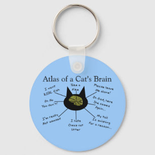 Llavero Atlas del cerebro de un gato