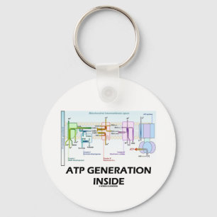 Llavero ATP Generation Inside (Electron Transport Chain)