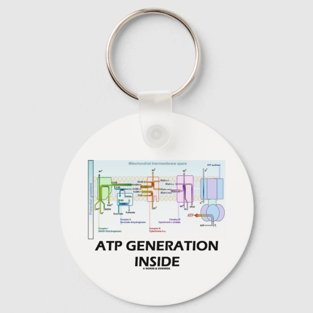 Llavero ATP Generation Inside (Electron Transport Chain) (Anverso)