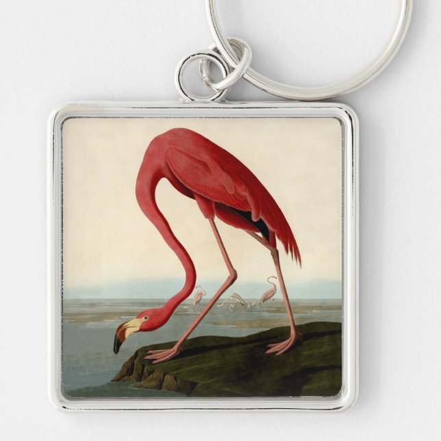 Llavero Audubon American Flamingo (Frente)