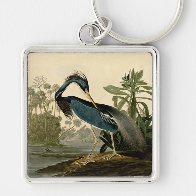 Llavero Audubon Louisiana Heron Birds America Art (Frente)