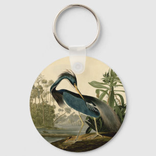Llavero Audubon Louisiana Heron Birds America Art